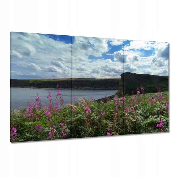Obrazy 120x80 Fialové květy
