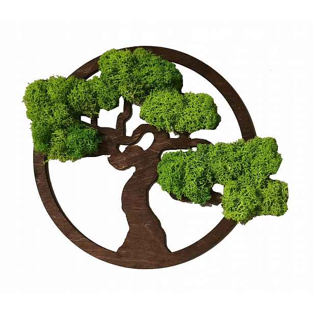 Obraz Strom Bonsai Dekorativní Mech Chrobotek 30
