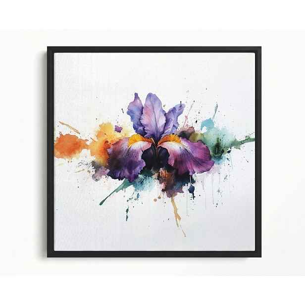 Obraz Rám Americký Box Akvarel Příroda Květ Fialový Irys Splash 50x50