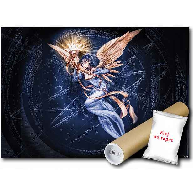 Fototapeta Alchemy Anioł 21A F2XL 312x219 F13249
