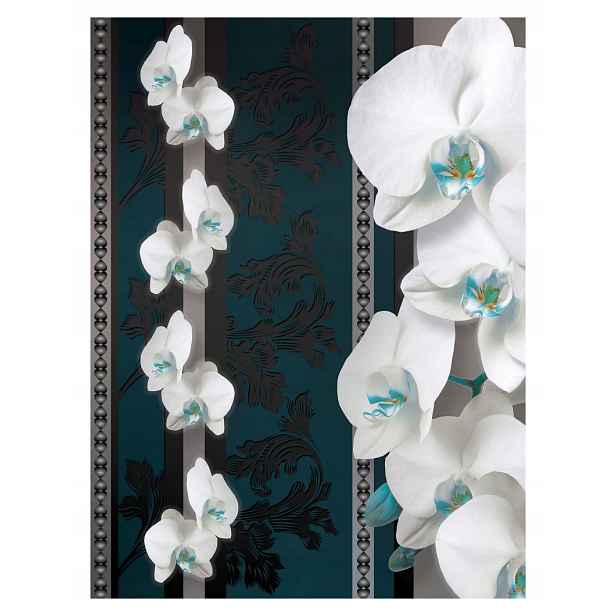 Fototapeta Bílé orchideje na tmavém pozadí Elegance a kontrast 206x275 lepidlo