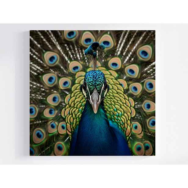 Obraz Na Plátně Canvas Příroda Fauna Příroda Makro Portrét Pták Paw 50x50