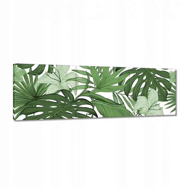 Obrazy 120x40 Monstera Moderní vzor
