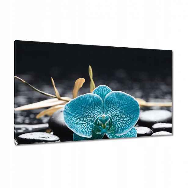 Obrazy 120x70 Tyrkysový orchidej Květina