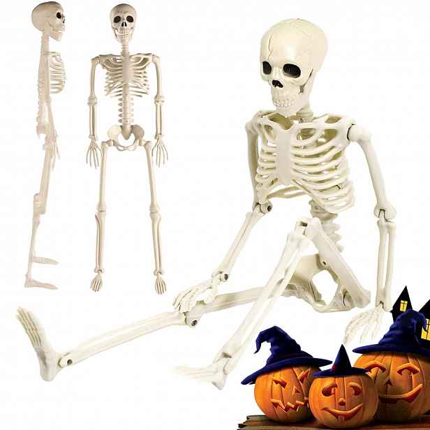 Dekorace Halloween Kostra člověka Kostlivec Pohyblivá Lebka 94 Cm