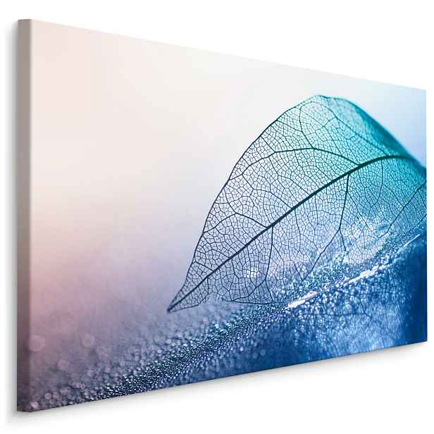 MyBestHome BOX Plátno List V Makro Měřítku V Modrých Odstínech Varianta: 30x20