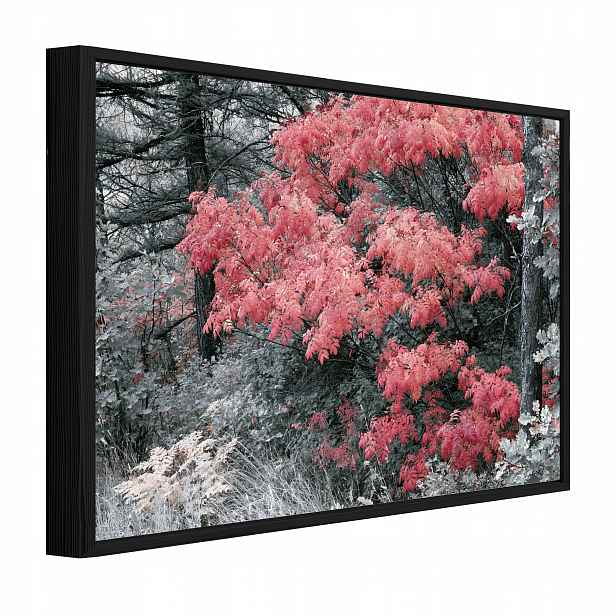 Obraz V Černém Rámu Na Plátně Les Šedý Příroda Obývací Pokoj Ložnice 90x60