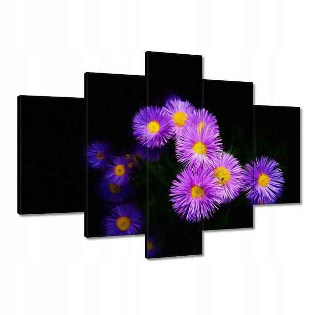 Obrazy 150x105 Fialové květy aster