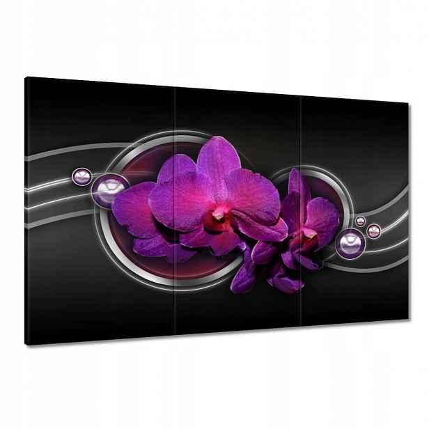 Obrazy 120x80 Fialová orchidej