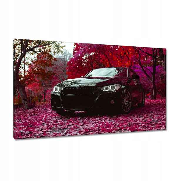 Obrazy 120x70 Černé Bmw Podzim