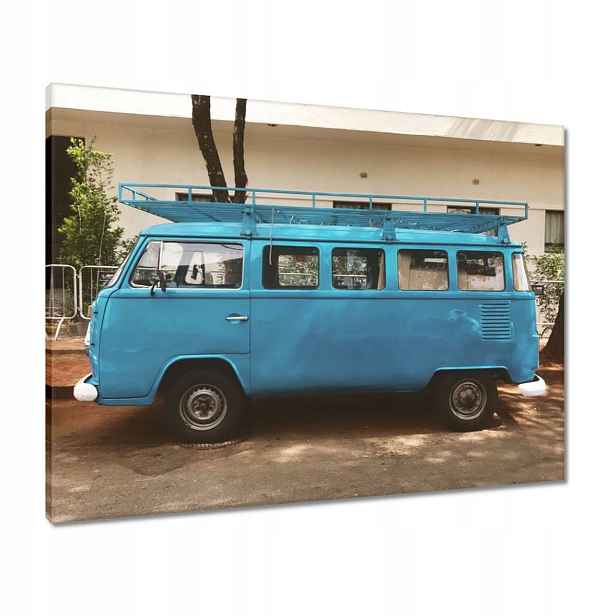 Obrazy 80x60 Modrý okurka Vw