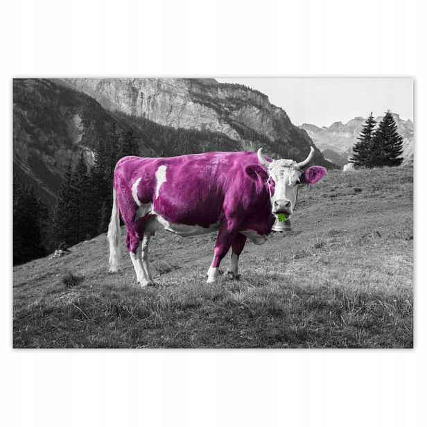 Plakáty 200x135 Fialová kráva Emilka