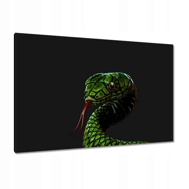 Obrazy 120x80 Obrovský zelený had