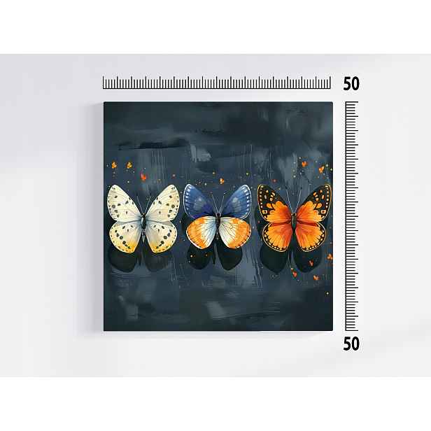 Obraz Na Plátně Plátno Fauna Příroda Barvy Motýli Hmyz 50x50
