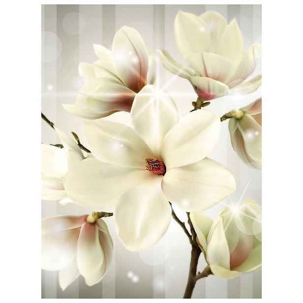 Fototapeta Magnolie Bílé Květy Jarní Elegance a Klid 206x275 lepidlo