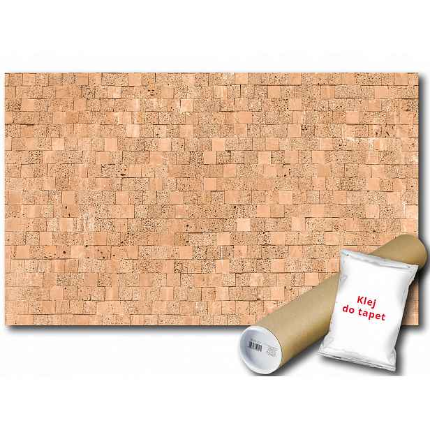 Fototapeta Ściana Mur Cegła 6F F2XL 312x219 F2320
