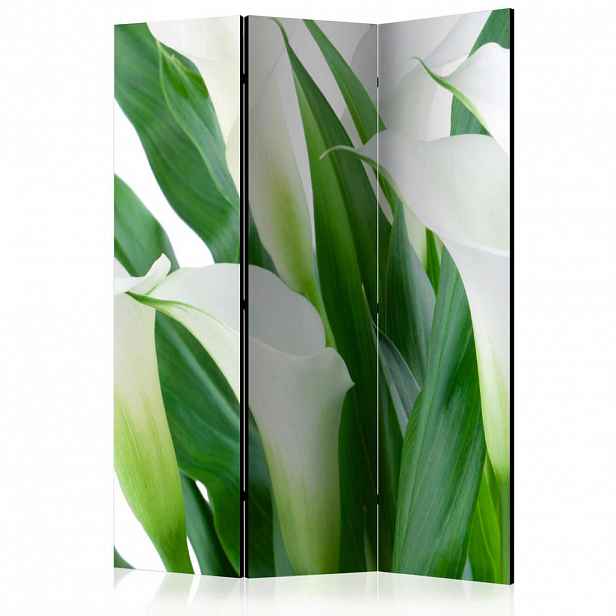 artgeist PARAVÁN, 135/172/3 cm