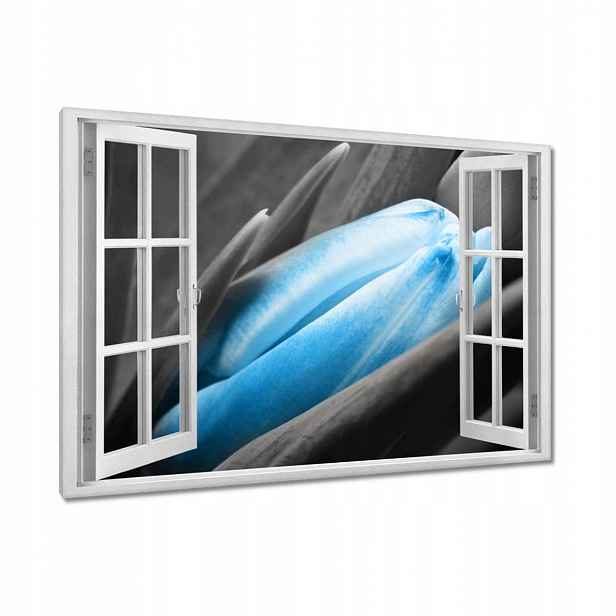 Obrazy 90x60 Modré okvětní lístky Tulipán
