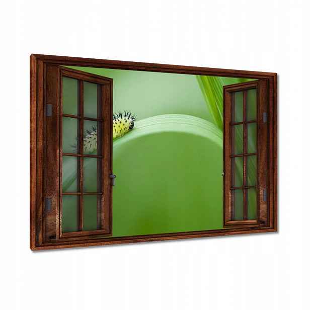 Obrazy 120x80 Zelená housenka
