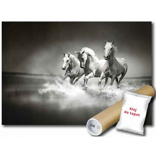 Fototapeta Koně Galop 12B F2XL 312x219 F426