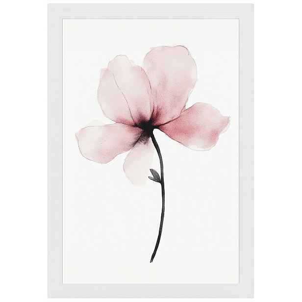 Plakát Rámeček Dřevo Akvarel Příroda Zahrada Květ Růžová Magnolie 40x60