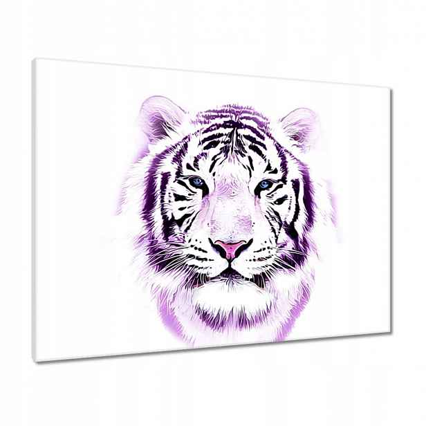 Obrazy 80x60 Jemná grafika Tygr na bílém pozadí Tiger