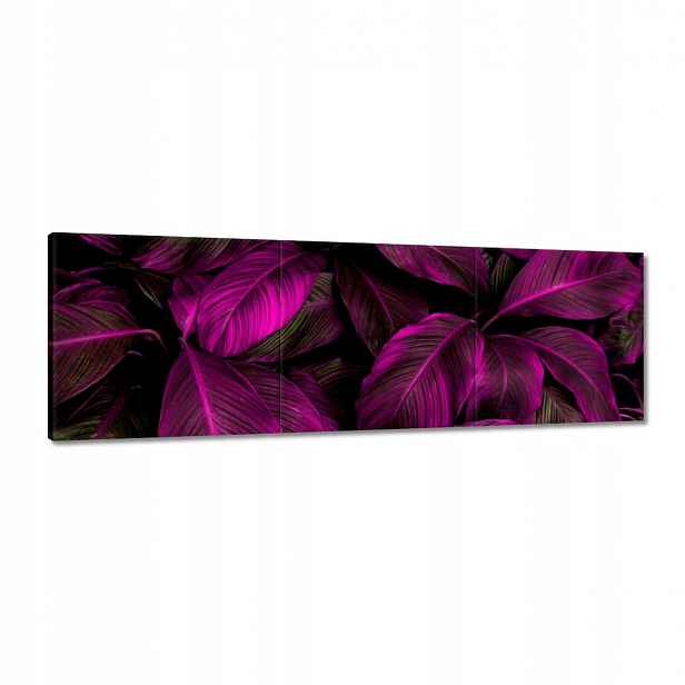 Obrazy 120x40 Krásné fuchsiové listy