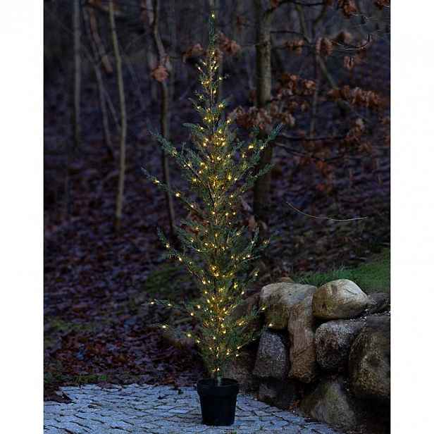 LED světelný stromek v květináči Cedr, 190 cm