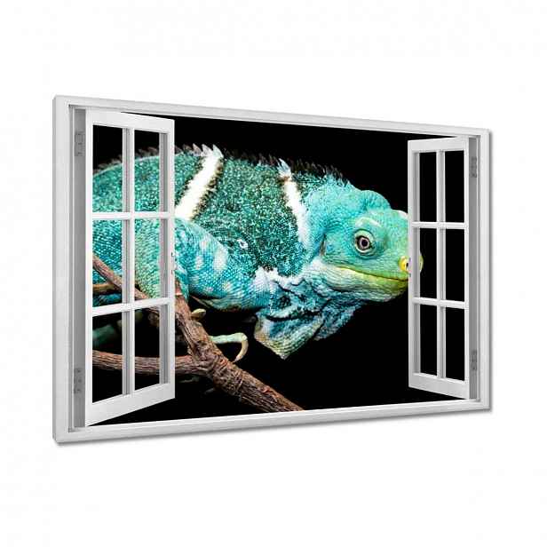 Obrazy 90x60 Kameleon Ještěrka