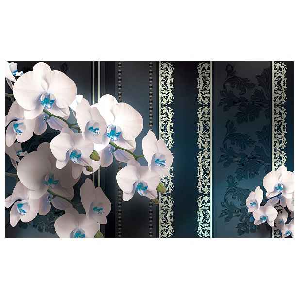 Fototapeta Bílé orchideje na modrém pozadí, elegance 368x254 lepidlo
