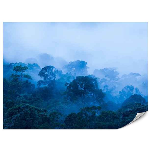 Muralo FOTOTAPETA do Obývacího Pokoje Tropický Listnatý Les Mlha Džungle 100x70