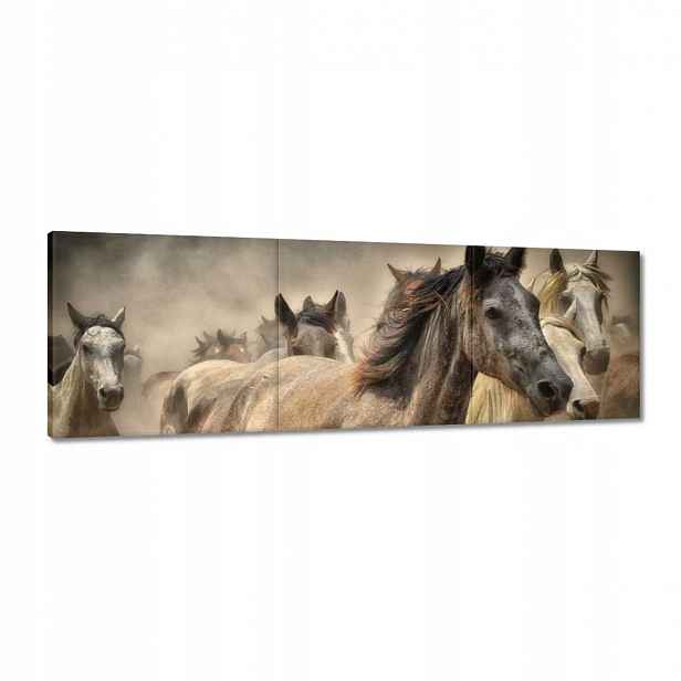 Obrazy 120x40 Divocí koně Koníci Galop