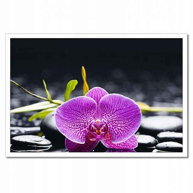 Plakáty v rámu 60x40 Fialová orchidej