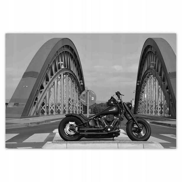 Plakáty 185x125 Harley Davidson Motocykl