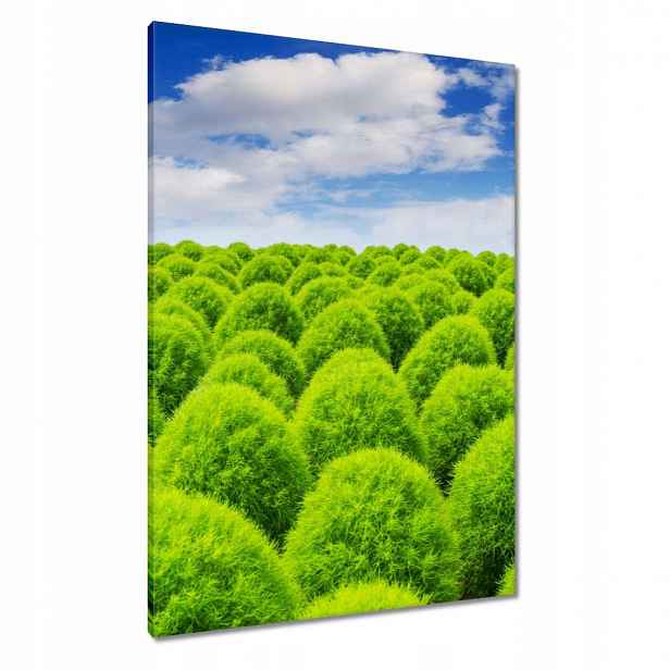 Obrazy 70x100 Zelený pohled Dolina