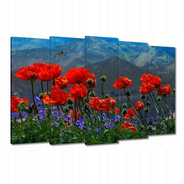 Obrazy 150x95 Červené máky Květiny