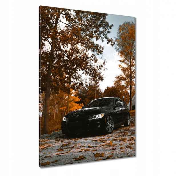 Obrazy 70x100 Černé Bmw Podzim