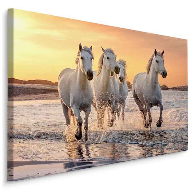MyBestHome BOX Plátno Koně U Středozemního Moře Varianta: 120x80