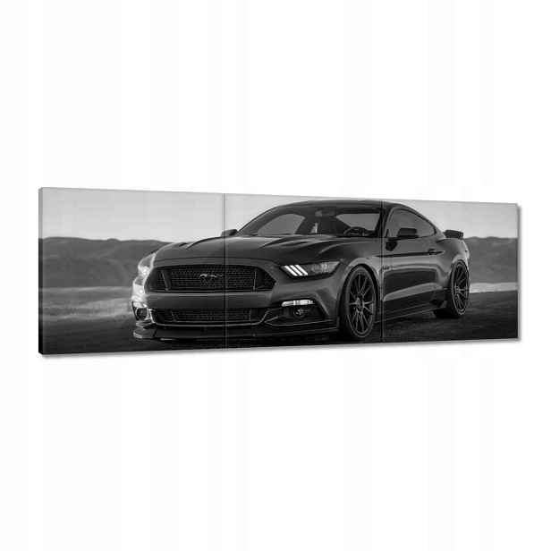Obrazy 150x50 Ford Mustang Auto