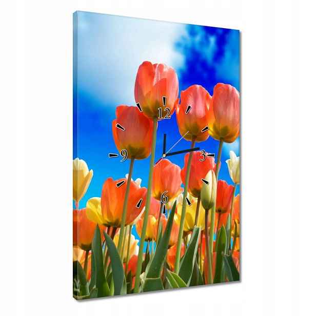 Hodiny 40x60 Barevné tulipány