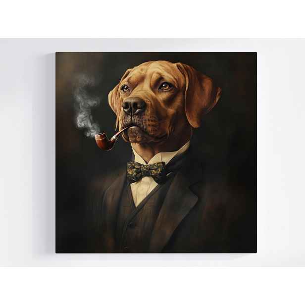 Obraz Na Plátně Plátno Portét Psa Gentleman Smoking Dýmka Retro 50x50