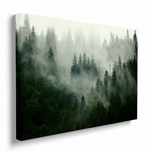 Moderní obraz na zeď Les v mlze krajina příroda do domu 70x50 cm