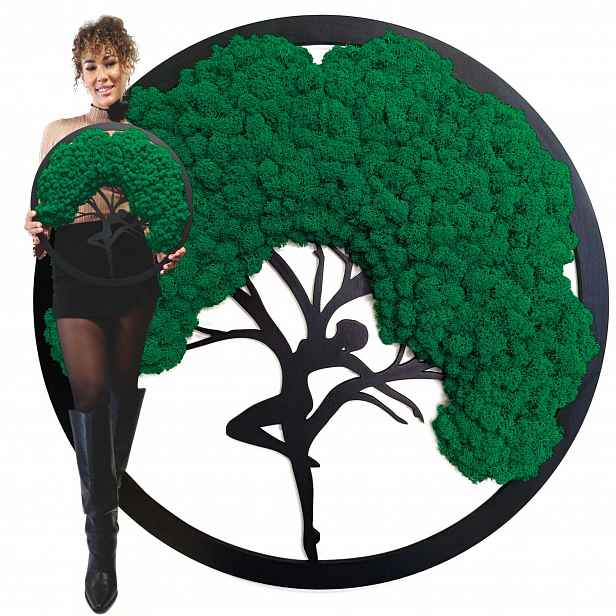 Obraz Mech Chrobotek Stromek Bonsai Obraz Z Mechu Stromek Na Dárek 50 cm