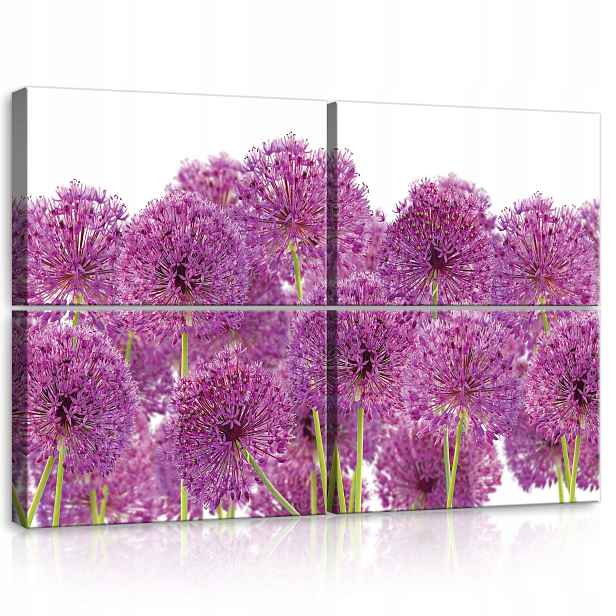 Obraz 120x80 Alium cibule ozdobný fialový s kulovitými květenstvími jaro léto