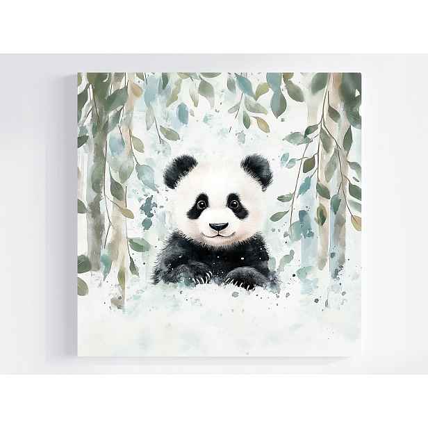 Obraz Na Plátně Eukalyptem A Medvědem Panda 50x50