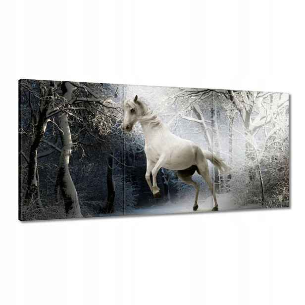 Obrazy 120x60 Bílý rumák