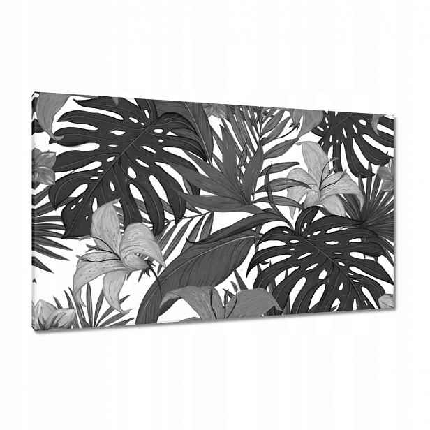 Obrazy 120x70 Černobílá monstera