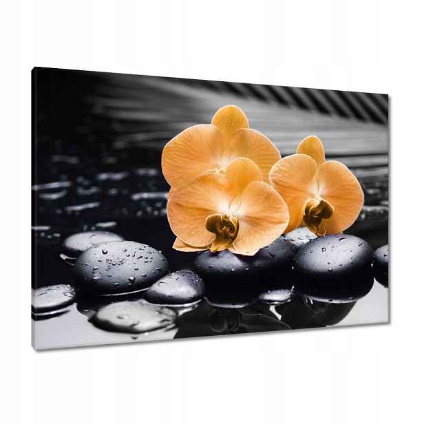 Obrazy 100x70 Oranžové orchideje