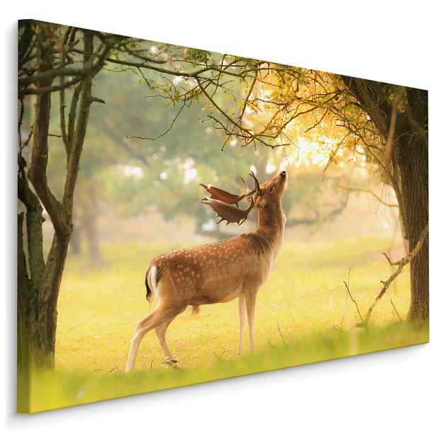 MyBestHome BOX Plátno Daněk Mezi Stromy Varianta: 90x60