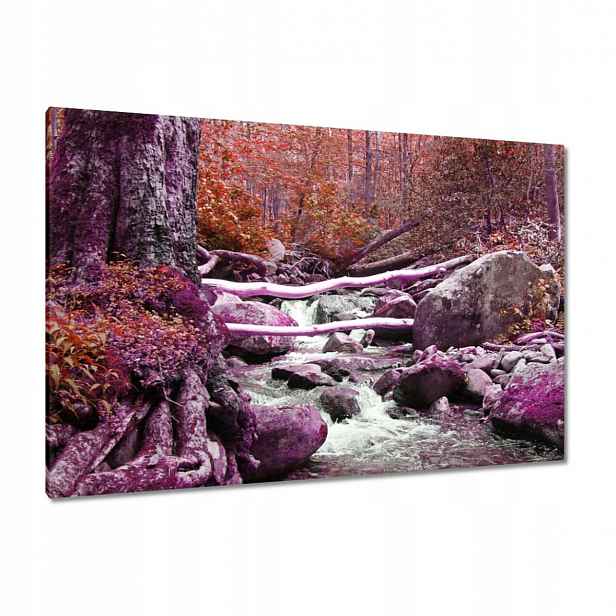 Obrazy 120x80 Fialová kaskáda